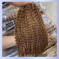 Extensions de cheveux au crochet pré-bouclées en cheveux humains, style bohème, bouclés crépus, avec nœuds miracle sans nœuds, pour tressage