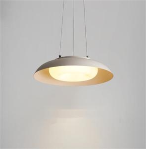 悬挂室内装饰金属吊灯 - Product Image 1