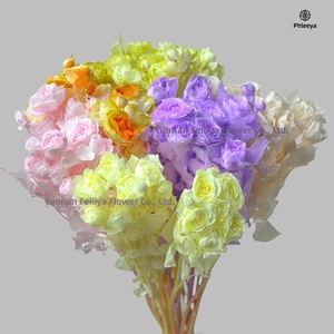 Roses Éternelles Multi-Têtes Haut de Gamme Prêtes à l'Emploi Matériaux DIY pour Artisanat Vente en Gros Bouquets de Roses Faits Main - Product Image 4