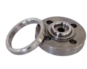 Chất lượng cao API 6A ASME b16.20 Vòng Chung miếng đệm thép carbon và cao su/EPDM cho mặt bích Ống niêm phong con dấu cơ khí phong cách - Product Image 3