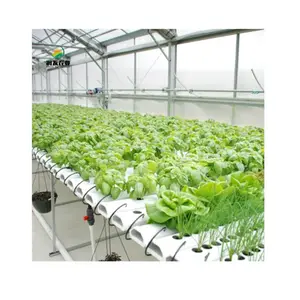 Hydroponics Kit Hydroponics System NFT Vertical Hydroponics Growing System Equipment Tiled Pipeline Hydroponics