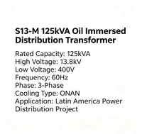 Transformateur de distribution de puissance immergé dans l'huile S13-M 125 kVA 13,8 kV-400 V 60 Hz pour le marché latino-américain