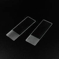 Hot Sale Lab Use Prepared Microscope Slide