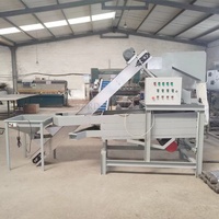 Volautomatische Amandelpindaschilmachine/Amandelschiller/Palmvruchtenhazelnootcrackermachine