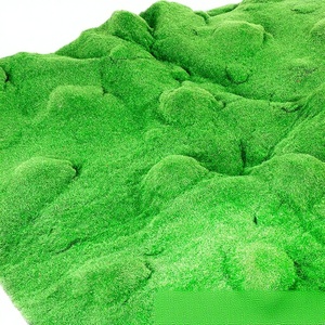 Gazon artificiel en mousse biomimétique pour la décoration de micro-paysages, pelouse, bonsaï, plantes en <span class=keywords><strong>pot</strong></span>, aménagement paysager de surface, décoration intérieure et photographie - Product Image 5