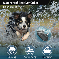 3300ft Extra Wide Remote Range Wasserdichtes wiederauf lad bares Schock halsband Hunde trainings halsband Hundetrainer