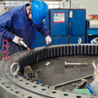 Roulements d'orientation à faible entretien, conception à structure scellée, traitement anti-poussière, idéal pour les engins de construction