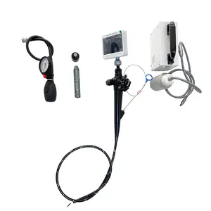 Veterinary Fiber Flexible Endoscope Video Pharyngoscope for Cat Dog Cattle Horse