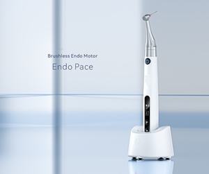 <span class=keywords><strong>Endoscope</strong></span> dentaire LED Chargement sans fil de la pulpe dentaire Machine équipement dentaire professionnel utilisé dans les cliniques et les hôpitaux - Product Image 6