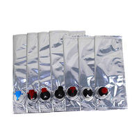 Sachets aseptiques personnalisés avec bec verseur et valve, emballage en boîte pour sirop, cola, huile, lait, eau, vin, jus, en PE