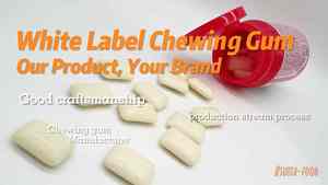 ガム工場プライベートラベル添加物なし天然非GMOキシリトール再活性化チューインガムカスタムフレーバー - Product Image 6