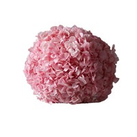 Buket Bunga Kering Hydrangea Kelopak Besar Awet Tahan Lama, Tangkai Tunggal, Asal Cina, Model TLBY007, Produksi Pabrik
