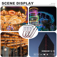 Cabochon de couleur de rêve DC 24V IP68 6018 UCS2903 RGB LED Pixel Point Light pour les parcs à thème