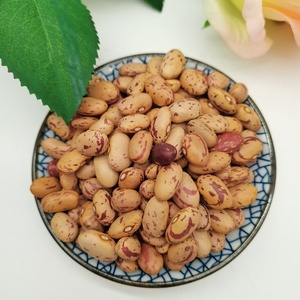 ความชื้น15% สูงสุดธัญพืชสุขภาพใหม่ล่าสุดพืชอาหารยาวรูปร่างรอบแสงจุดด่างดำไต Pinto ถั่ว - Product Image 4