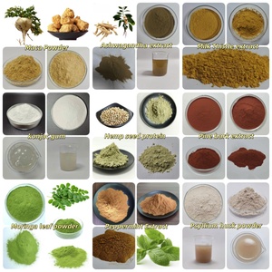 工厂供应纯天然20:1诺丽果提取物粉 - Product Image 3