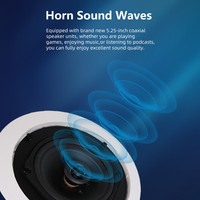 Amplificadores de Sonido 30-50W POE IP, Altavoz de Techo con Carcasa de Plástico, Sistema PA de 2.0 Canales, Compatible con APP, para Centros Comerciales y Comercios Minoristas