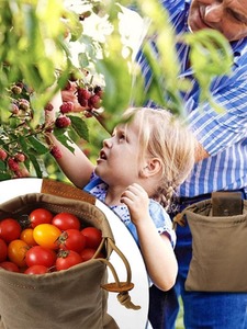 Nueva Bolsa Portátil de Lona para Cosecha de Frutas y Bayas, Plegable, para Senderismo, Acampada y Bushcraft - Product Image 4