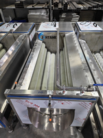 Automatische fruit- en groenteschilmachine voor wortelen en gember