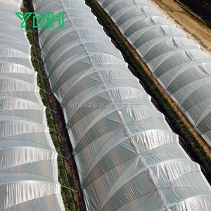 Grande petite serre isolée transparente Film plastique double PET PE pour semis de jardin Prix bon marché d'usine pour l'agriculture - Product Image 5