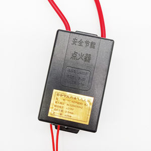 <span class=keywords><strong>Allumeur</strong></span> numérique Dongba pour cuisinière à méthanol et huile végétale, allumage continu à retard, manuel/électrique, écologique, durable, camping-car, hôtel - Product Image 3