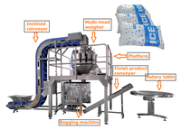 FOCUSPACK Prix du fabricant Machine d'emballage multifonctionnelle automatique de qualité alimentaire pour glaçons/sachets tubulaires en plastique efficace pour l'ensachage