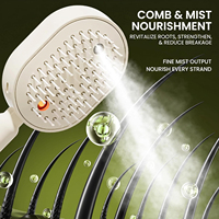 Brosse à vapeur électrique améliorée 2026, peigne massant à coussin d'air électrique avec pulvérisation, brosse à cheveux antistatique à lumière rouge avec pulvérisation d'eau