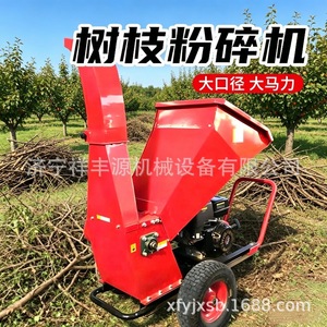 Broyeur de branches, déchiqueteuse de bois, moteur à essence, utilisation agricole et forestière, machine portable - Product Image 2