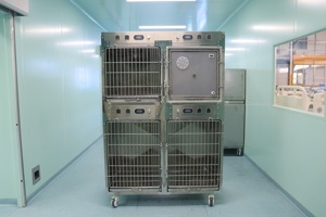 CH luxe moderne <span class=keywords><strong>Cage</strong></span> pour animaux de compagnie 304 acier inoxydable pliable chien caisse plateau en plastique Simple haute boîte vétérinaire Animal clinique solide - Product Image 5