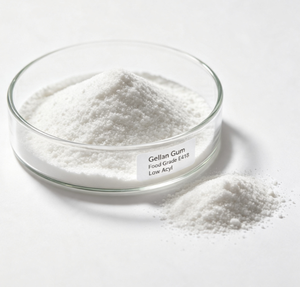 Goma de <span class=keywords><strong>Gallan</strong></span> con Excelente Estabilidad Térmica y a los Ácidos - Product Image 1