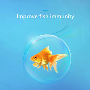 <strong>Solve</strong> the <strong>Problem</strong> of Fish Intestines, Prevent Diseases, Biological Enzyme Yogurt - Product Image 6