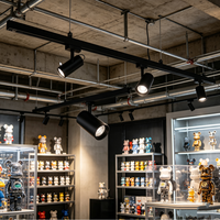 Spot LED sur rail moderne en aluminium à 2 fils pour la maison, les magasins, la vente au détail et les supermarchés