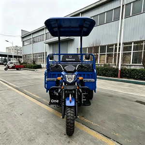 Nuevo Estilo de Triciclo Motorizado a Gasolina, <span class=keywords><strong>Motocicleta</strong></span> Popular para Adultos de 200CC <span class=keywords><strong>2500CC</strong></span>, Triciclo de Carga a Gasolina en Venta - Product Image 3