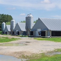 Poulailler pour 10000 poulets structure préfabriquée en acier à structure légère poulailler bâtiment de ferme avicole