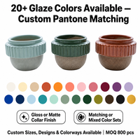 Mini pots à bonsaï classiques en porcelaine émaillée, ensemble de 14*14*11cm, kits de propagation, vente en gros pour la décoration de la maison et du jardin, pour les fleurs