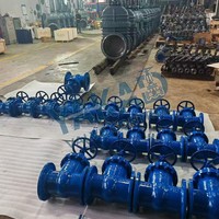 Válvula de Compuerta de Acero Inoxidable ASTM A351 CF3M, Válvula de Compuerta API 6D, Estándar, RF (Superficie Elevada)