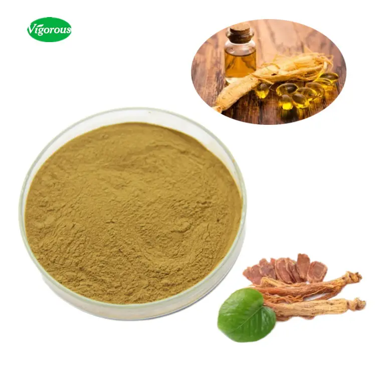 Asian panax ginseng alami 5% ~ 80% ginsenosides korea Ekstrak ginseng merah