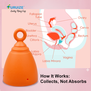 Coppetta Mestruale Ecologica Riutilizzabile Morbida per Flusso Abbondante, Antigoccia, in Silicone di Grado Medicale per Donne - Product Image 2