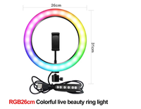 Kaliou Anneau lumineux LED RGB en alliage d'aluminium de 26 cm (10 pouces) alimenté par USB, projecteur d'appoint pour maquillage, réglable et intensité variable avec télécommande