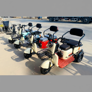 รถสามล้อไฟฟ้า ยี่ห้อ Three Wheels 48V 600W ความเร็วเดียว แรงทรงพลัง สำหรับใช้ในบ้าน - Product Image 1