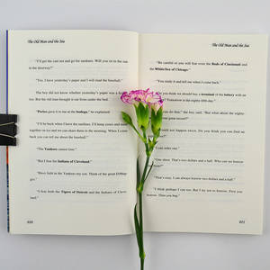 Il Vecchio Uomo e il Mare, Romanzo Originale Non Ridotto in Inglese di Hemingway - Modello 9787501592401, Bestseller per Letture Extracurricolari - Product Image 4