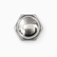 Mur Baut Dome Hexagonal Baja Tahan Karat Asli, Mur Penutup Poles, Mur Acorn A2-70 304, Mur Pengikat Metrik