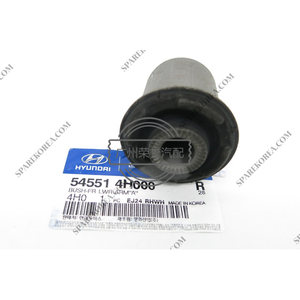 54551-4H000 AUTO 54551 4H000 ABS, ASHIKA 545514H000 in AUTODOC - Product Image 1