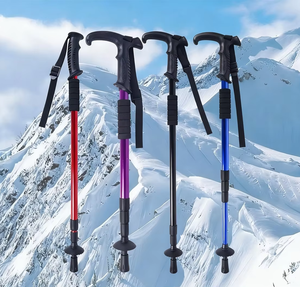 Bâton de randonnée réglable et rétractable moderne pour l'extérieur, avec embout en acier au tungstène et poignée en caoutchouc - Product Image 1