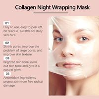 Masque Facial Nettoyant Hydratant Nourrissant Anti-Âge Anti-Rides au Collagène Nuit avec Pinceau 75g en Gros