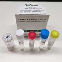 Kit de PCR en Tiempo Real Liofilizado para el Virus de la Leucosis Aviar VIPOTION NCQM-R-7031, PCR en Tiempo Real para Diagnóstico Veterinario de Aves/Pollos, Fácil de Usar