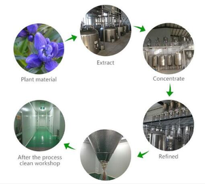 En Yüksek Kalite %<span class=keywords><strong>4</strong></span> Polifenoller Şikorik Asit Ekinezya <span class=keywords><strong>Purpurea</strong></span> Ekstresi Ekinezya Ekstresi Ekinezya Angustifolia Ekstresi - Product Image 5