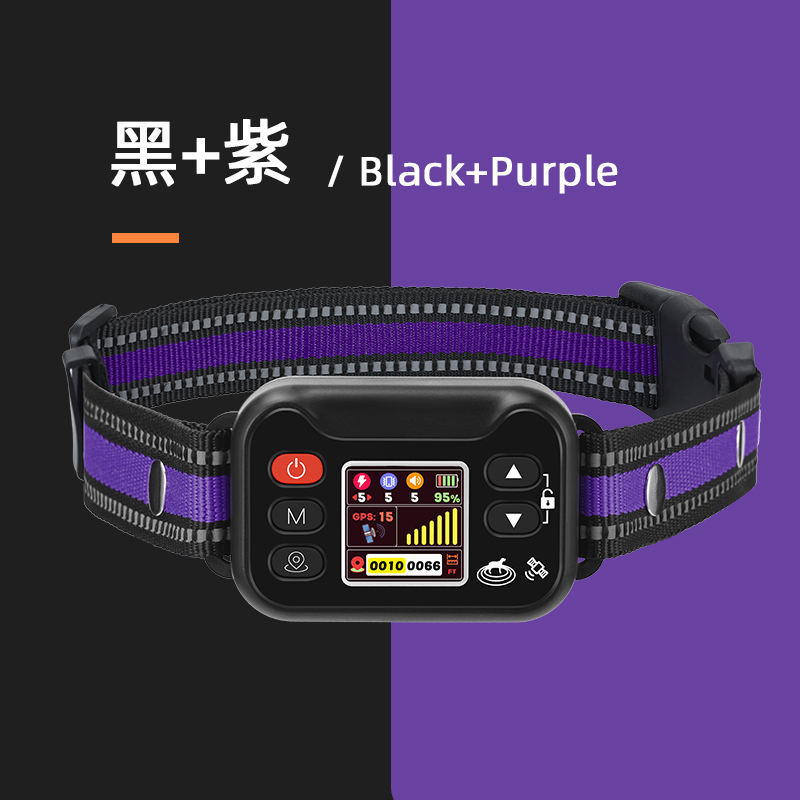 Black+Purple