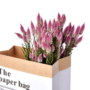Queue de phénix à plusieurs têtes <span class=keywords><strong>Fleurs</strong></span> séchées de sagou rose Ombre <span class=keywords><strong>Canna</strong></span> Lily Celosia Argenteal Belle fleur naturelle Matériel - Product Image 3