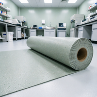 Lámina de Vinilo Homogénea ESD de 2 m de Ancho con Recubrimiento de PUR para Laboratorio de Pruebas de Alimentos