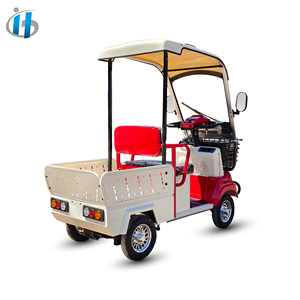 Voiturette <span class=keywords><strong>de</strong></span> <span class=keywords><strong>golf</strong></span> électrique HLD <span class=keywords><strong>Mini</strong></span> avec frein électromagnétique pour les descentes, vitesse personnalisée 18 km/h, pour le marché sud-coréen, quadricycle électrique - Product Image 1